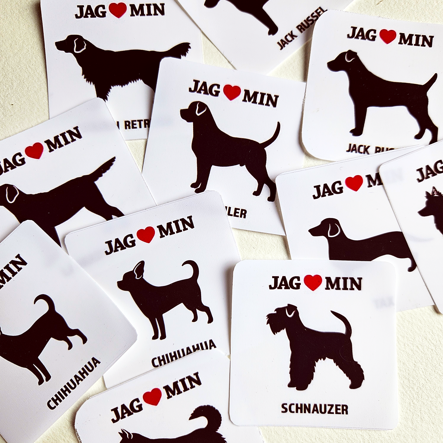 Chihuahua - Klistermärke