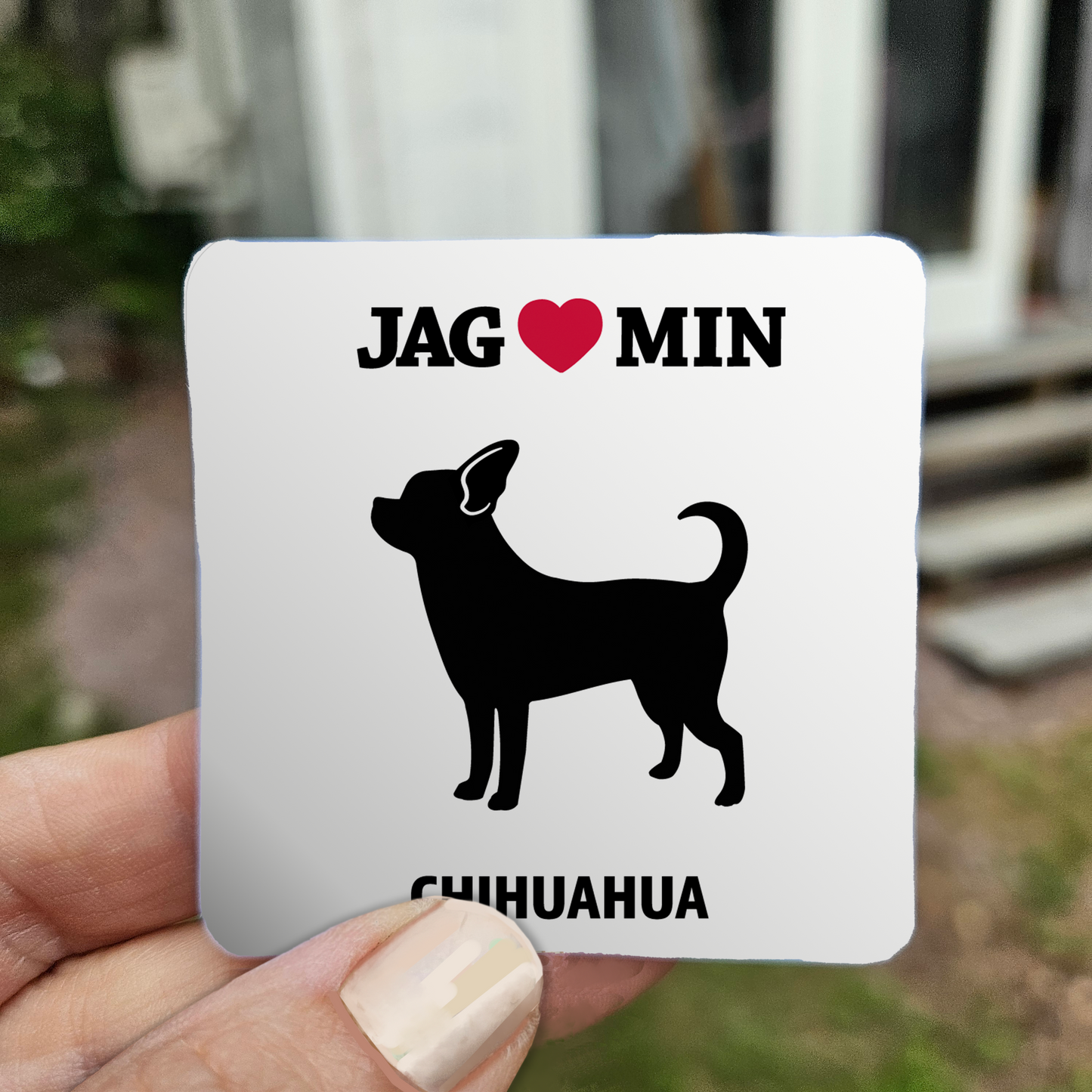 Chihuahua - Klistermärke