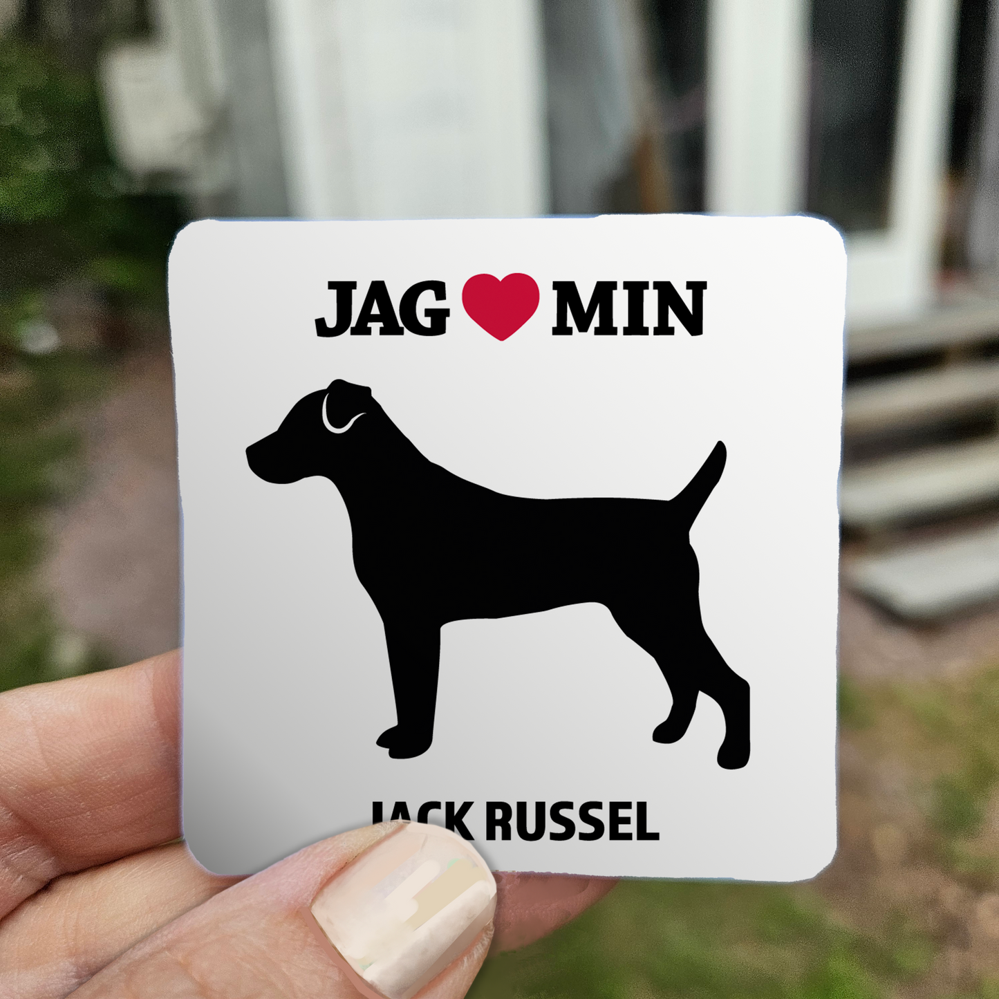 Jack russel - Klistermärke