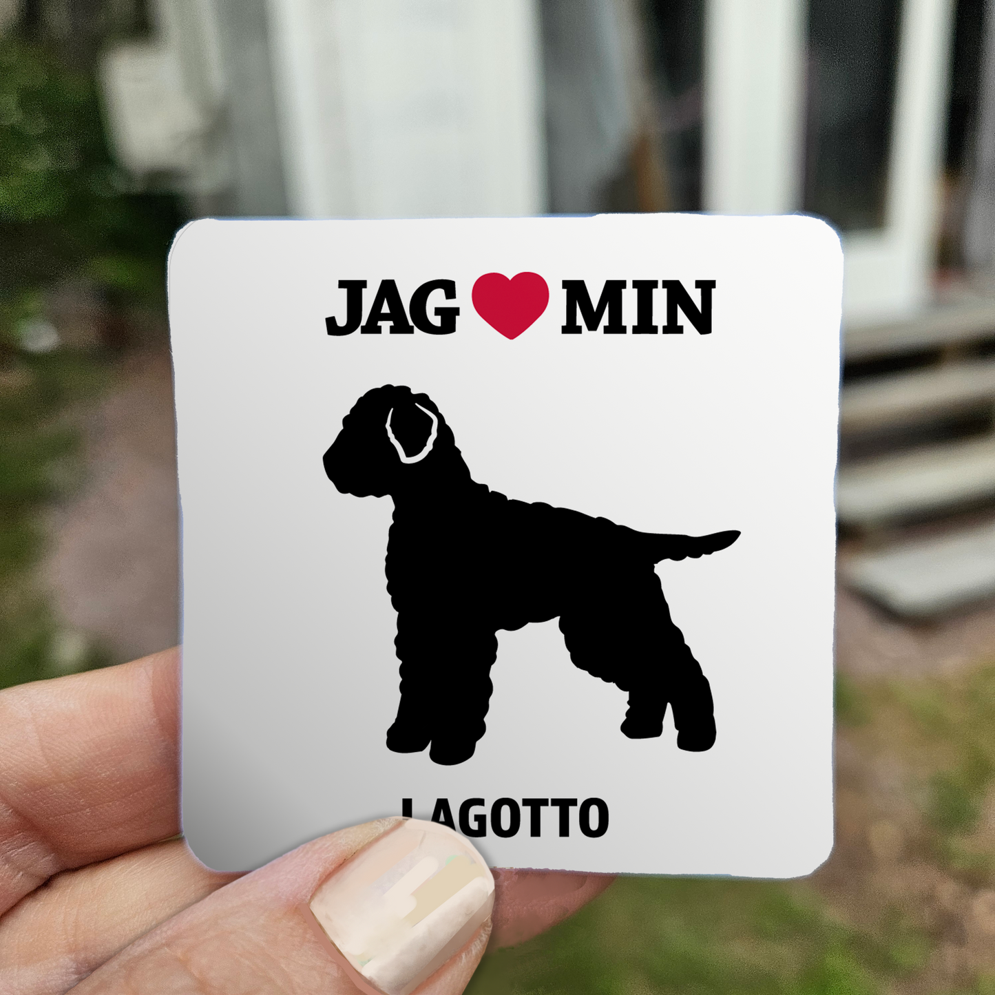 Lagotto - Klistermärke