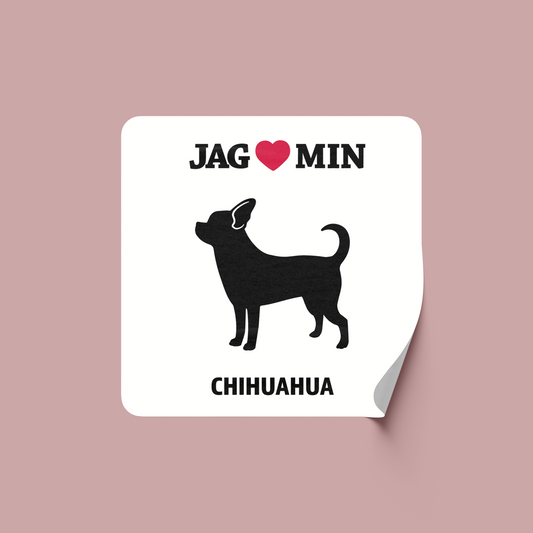 Chihuahua - Klistermärke