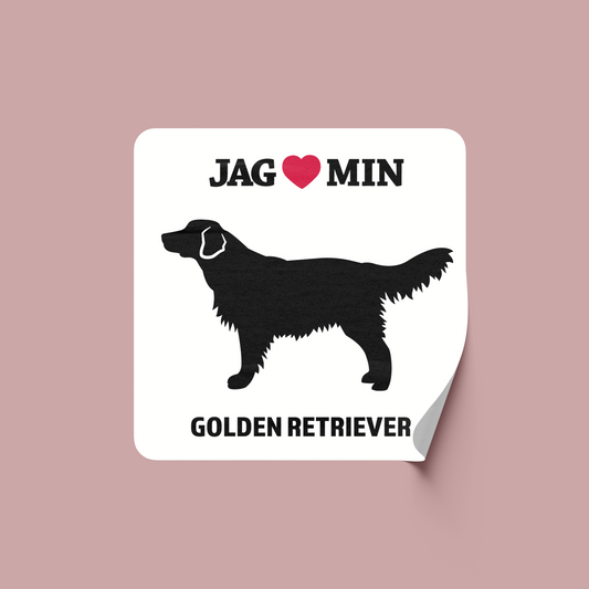 Golden retriever - Klistermärke