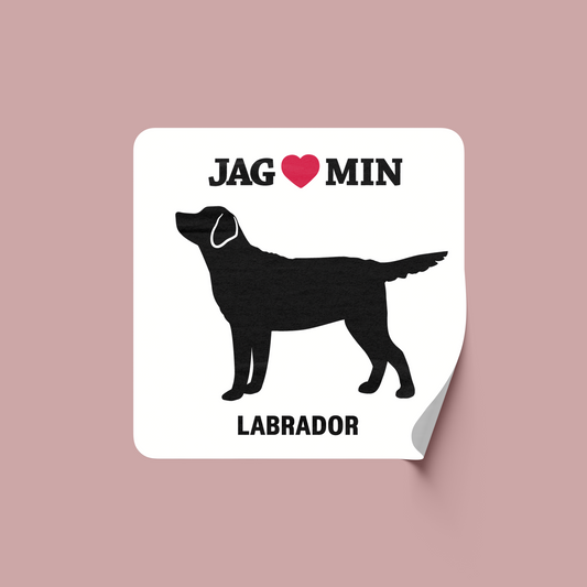 Labrador - Klistermärke